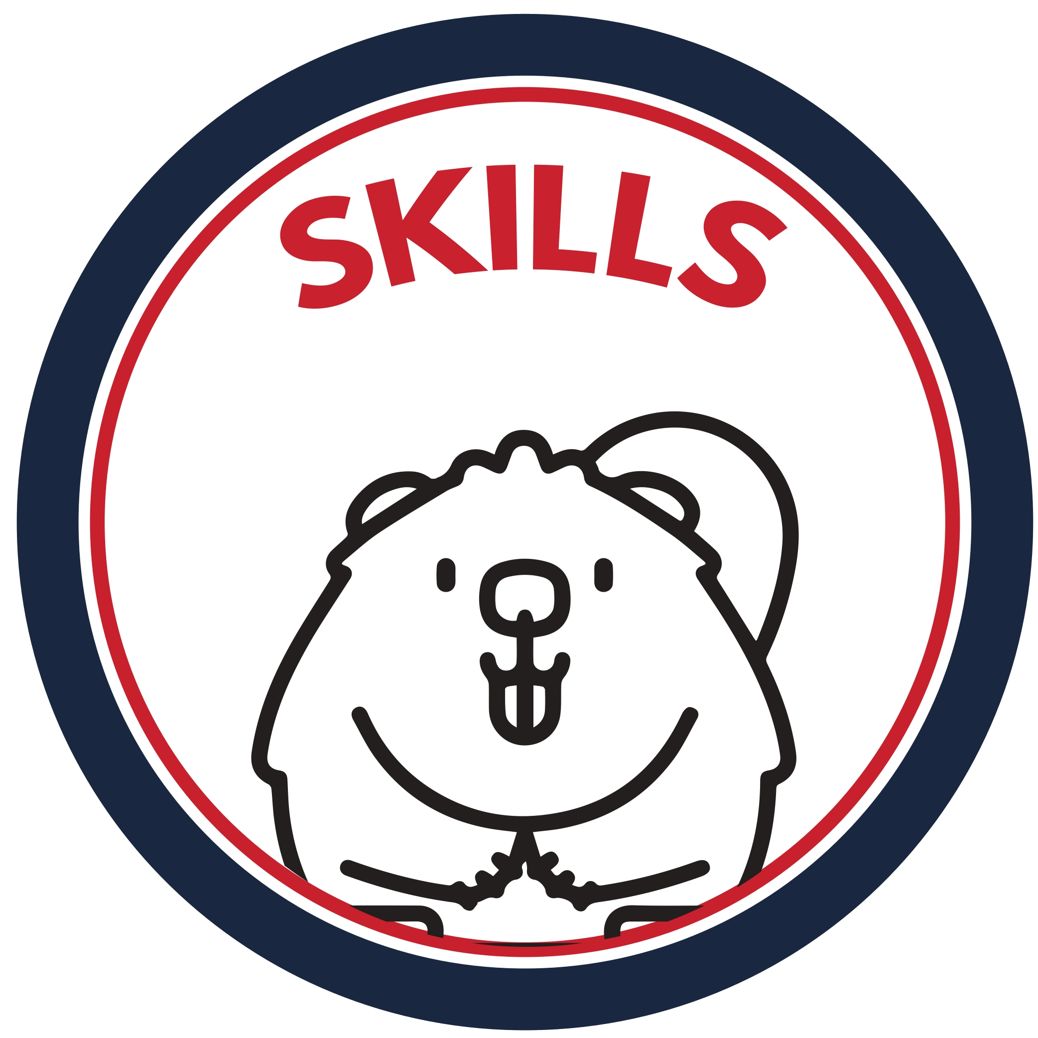 Skills Skills