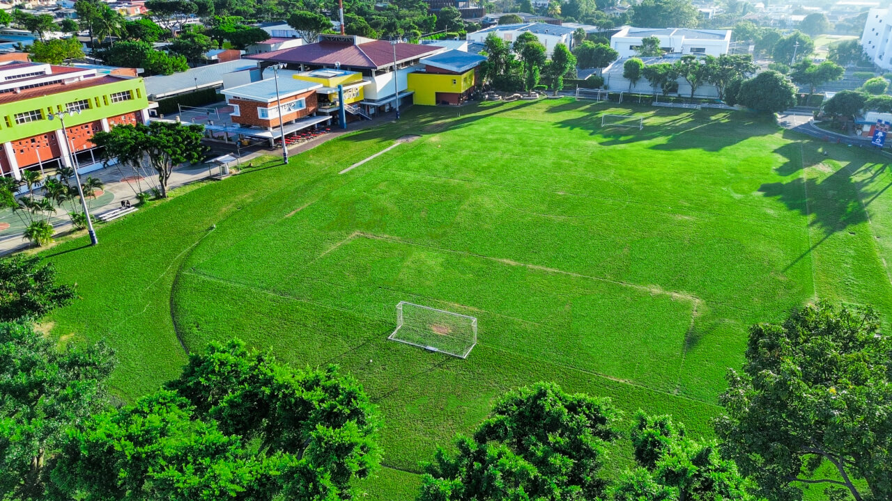 play field